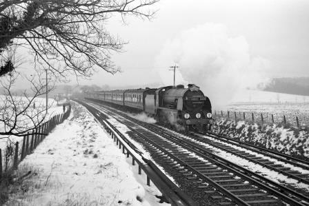 Bluebell Railway Museum