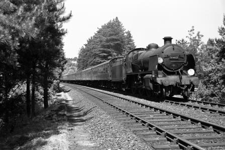 Bluebell Railway Museum