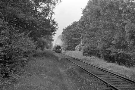 Bluebell Railway Museum