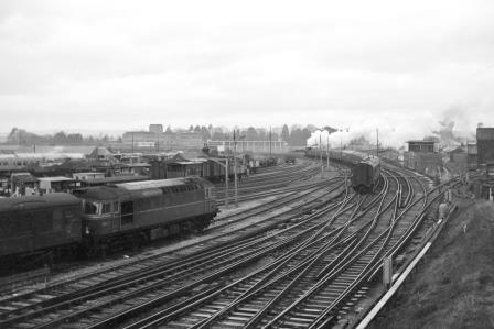 Bluebell Railway Museum