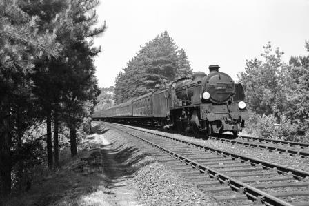 Bluebell Railway Museum