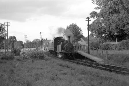 Bluebell Railway Museum