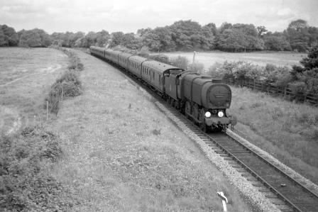 Bluebell Railway Museum