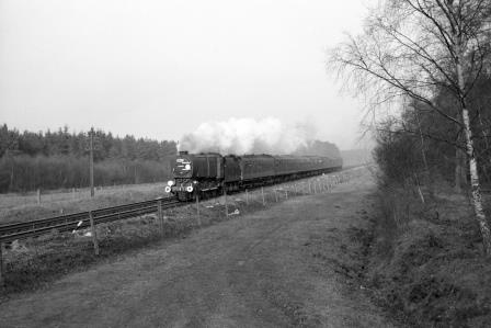 Bluebell Railway Museum