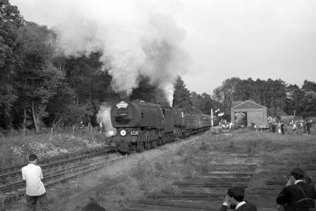 Bluebell Railway Museum