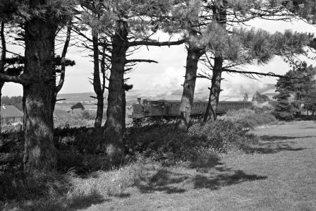 Bluebell Railway Museum