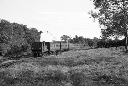 Bluebell Railway Museum