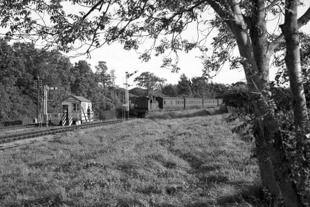 Bluebell Railway Museum