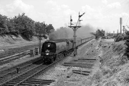 Bluebell Railway Museum