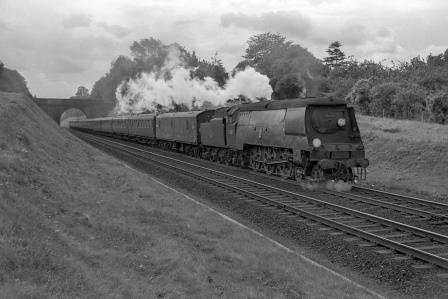 Bluebell Railway Museum