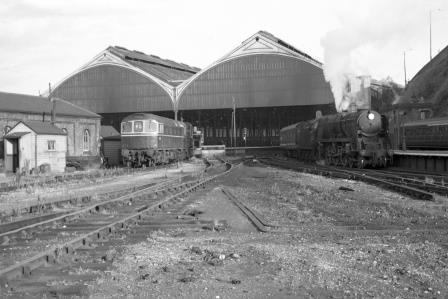 Bluebell Railway Museum