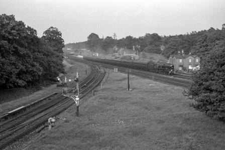 Bluebell Railway Museum