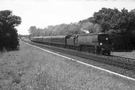 Bluebell Railway Museum