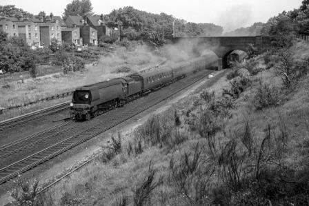 BR(S) West Country class 34019 'Bideford' at Clapham Cutting, Greater London with the 11.30am Waterloo - Bournemouth Central service on Saturday 04 Jun 1966 - J. Scrace [141241]