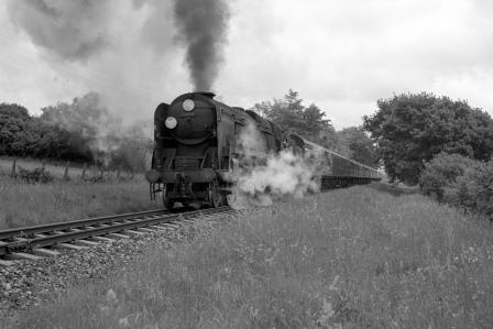 Bluebell Railway Museum
