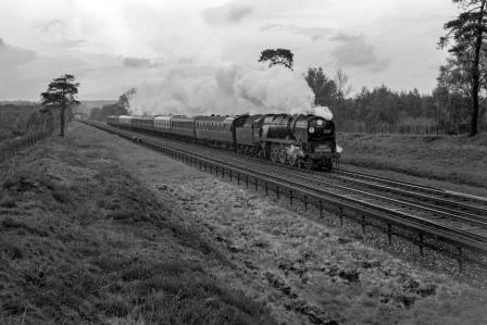 Bluebell Railway Museum