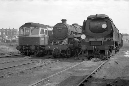 Bluebell Railway Museum