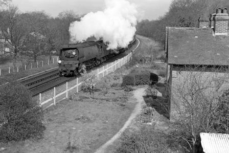 Bluebell Railway Museum