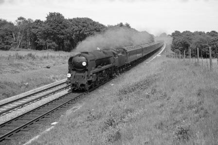 Bluebell Railway Museum