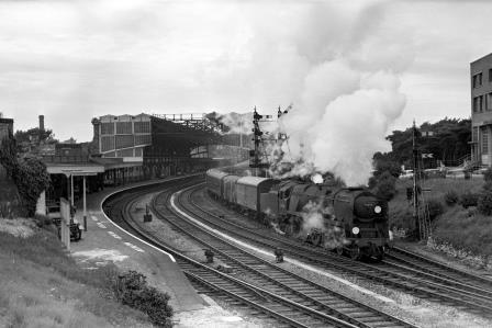 Bluebell Railway Museum
