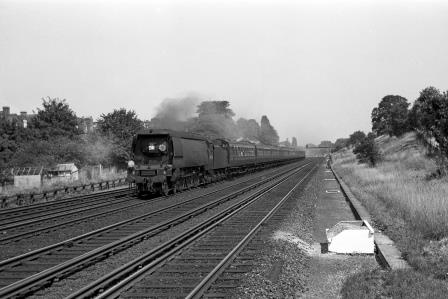 Bluebell Railway Museum