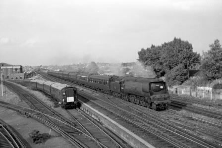 Bluebell Railway Museum