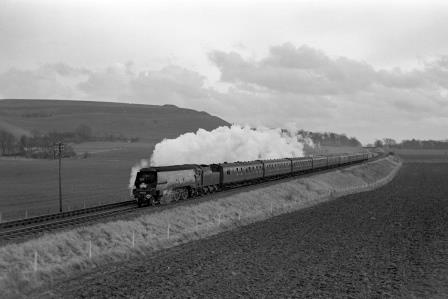 Bluebell Railway Museum