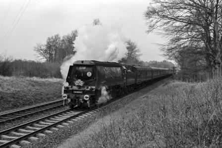 Bluebell Railway Museum