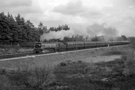 Bluebell Railway Museum