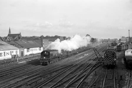 Bluebell Railway Museum