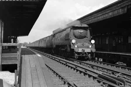 Bluebell Railway Museum