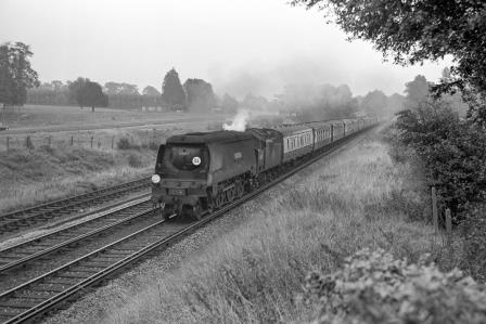 Bluebell Railway Museum