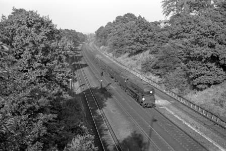 Bluebell Railway Museum