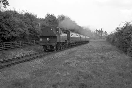 Bluebell Railway Museum