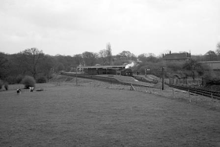 Bluebell Railway Museum