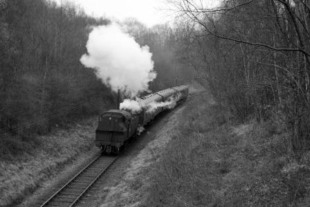 Bluebell Railway Museum