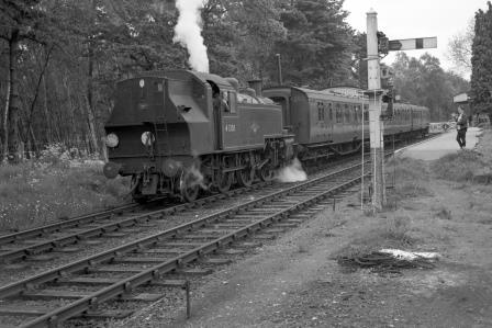 BR(M) 2MT class 41301 at Baynards Station, Surrey with the 9.46am to Guildford on Saturday 22 May 1965 - J. Scrace [142040]
