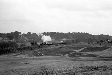 Bluebell Railway Museum