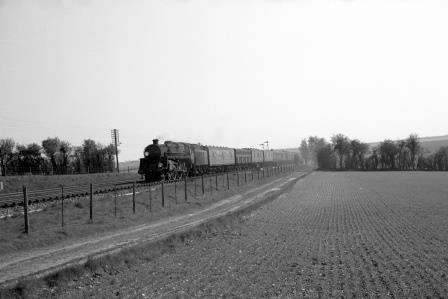 Bluebell Railway Museum