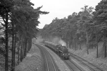 Bluebell Railway Museum