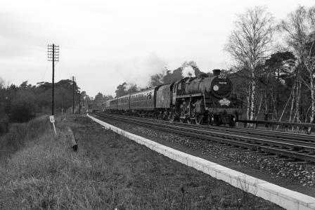 Bluebell Railway Museum