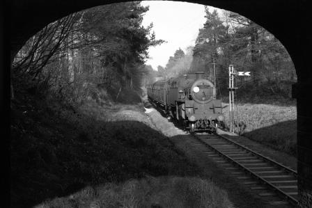 Bluebell Railway Museum