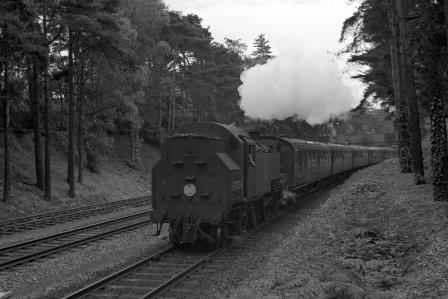 Bluebell Railway Museum