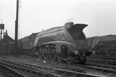 BR(E) A4 class 60022 'Mallard' at Kings Cross Shed, Greater London on Saturday 08 Nov 1958 - J.H.W. Kent [150463]
