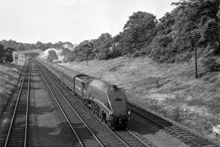 Bluebell Railway Museum