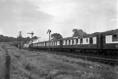 Bluebell Railway Museum