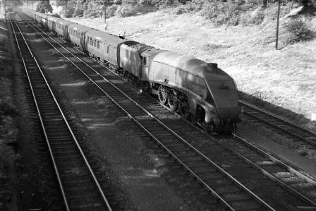 Bluebell Railway Museum