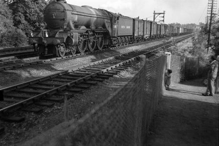 Bluebell Railway Museum