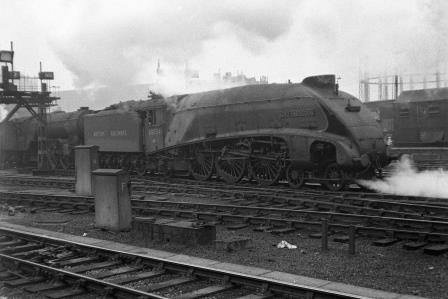Bluebell Railway Museum