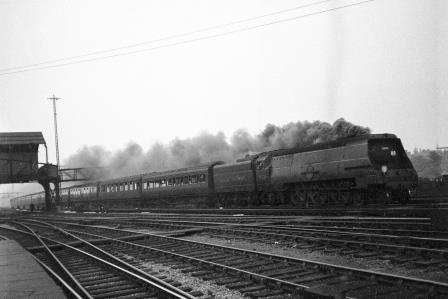 Bluebell Railway Museum
